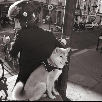 RobinLacombe's profile picture. 