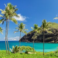 Hawaii Teacher Induction Center (@inductionhi) 's Twitter Profile