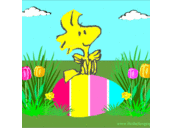 Fred Mac - @fmac81 - Twitter