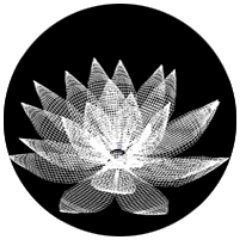 No Lotus Design