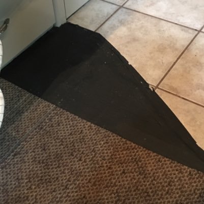 MoldBus's profile picture. Just a Nite Train bus with some Mold issues.