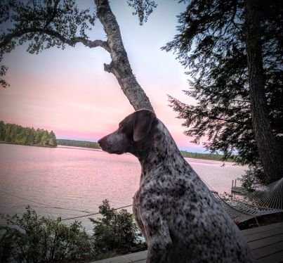 gbrack's profile picture. 