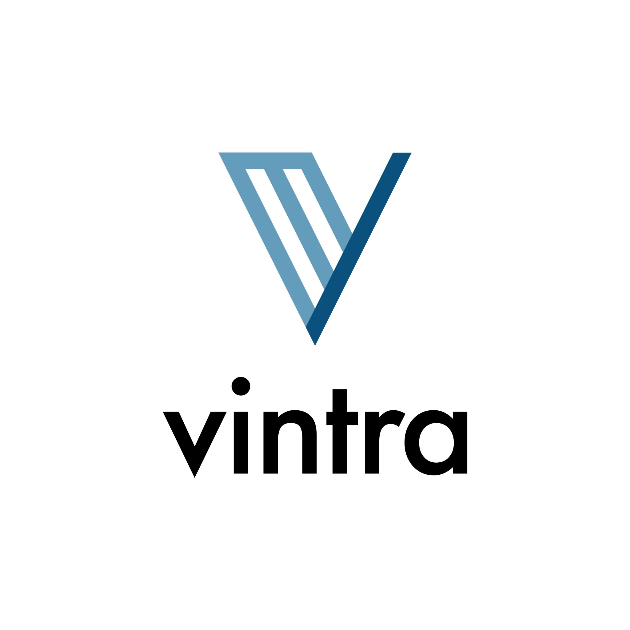 Vintra, Inc. Profile