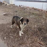 Danielle Williams (@daniell22043773) 's Twitter Profile