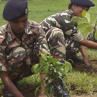 ForestBihar's profile picture. 