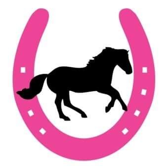 New and used Tack @BARGAIN prices.
https://t.co/DuZfKGFUZm