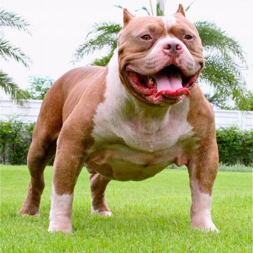 SaengtongW's profile picture. 