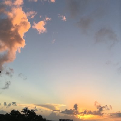 timecode1010's profile picture. 