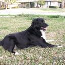 Misty Walker - @mlightwalker - Twitter