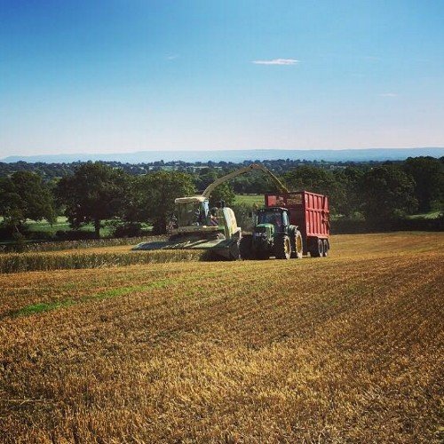 Dairy farmer from Ripon, North Yorks, part time feed advisory and nutrition work