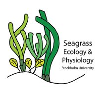 Seagrass_Sthlm_Uni(@MarinePlants_SU) 's Twitter Profile Photo