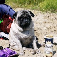 Taras Antonenko (@t_anko75) 's Twitter Profile