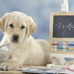Siamo un Istituto Comprensivo Pubblico con un grande interesse per le nuove tecnologie e l'innovazione didattica.