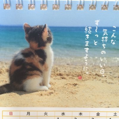 Airbnbが大好き、猫も大好き。note書いてます「地域猫ものがたり」→https://t.co/oH5dUSHkr0 だいたい日曜更新です。