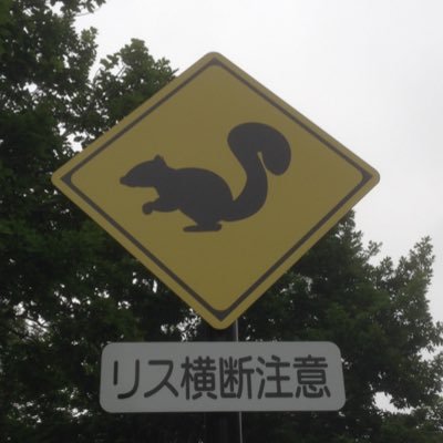 gonta_shibainu's profile picture. 生物の観察や採集、飼育をしています。無言フォローすみません。