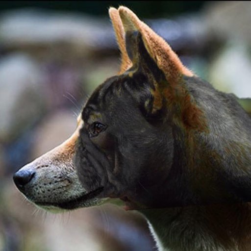 CRUFFA's mission is to reduce demand for 'cute' flat-faced dogs and cats by asking companies/organisations to stop using them in their branding/media