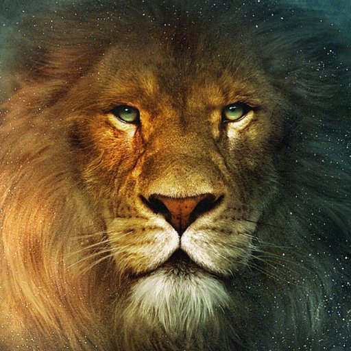 NO HAY PODER, HAY ABUSO DE PODER NADA MÁS... LA SINCERIDAD Y HONESTIDAD SON MIS BANDERAS.☝️ ⚖🦁 👆