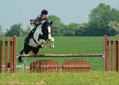 MsUnaMorris's profile picture. 