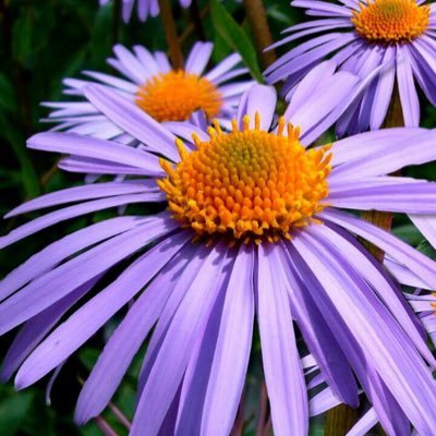 Andychans's profile picture. 