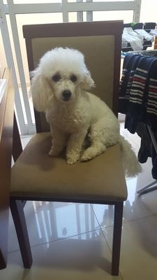 dracarlaferrei1's profile picture. 