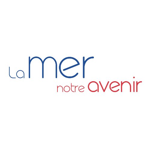 MernotreAvenir Profile Picture