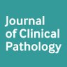 JClinPath_BMJ's profile picture. Journal of Clinical Pathology (JCP) is a leading international journal covering all aspects of pathology.
