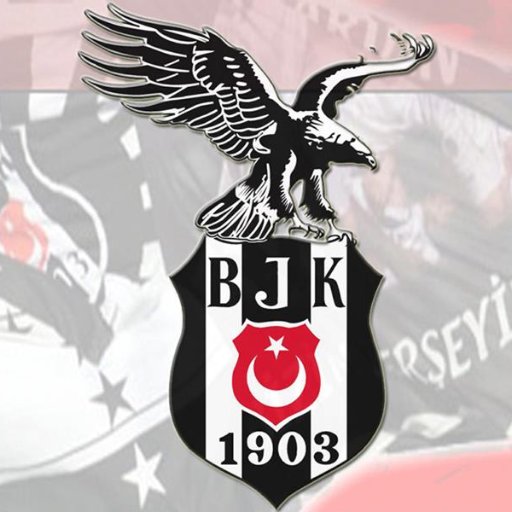 mturan2009's profile picture. Professor of Management