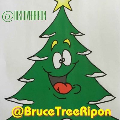 I'm Bruce the Spruce, I was lovingly grown on Elveden Farm in East Anglia until I moved and I now stand proudly on Ripon Market Place waiting to enjoy Christmas