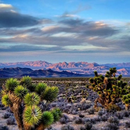 VegasAngelRev's profile picture. I am enjoying the simple life where the blacktop ends just north of the city lights.