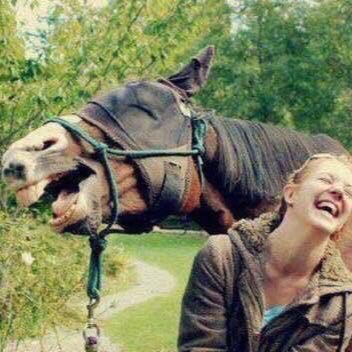 sara772323's profile picture. 