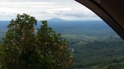 SharonS07382832's profile picture. 