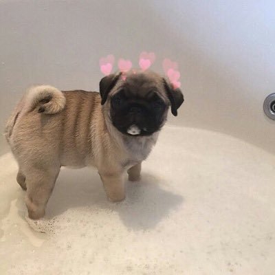 codyrpgnwj's profile picture. 