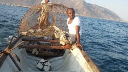 socotrailand80's profile picture. 