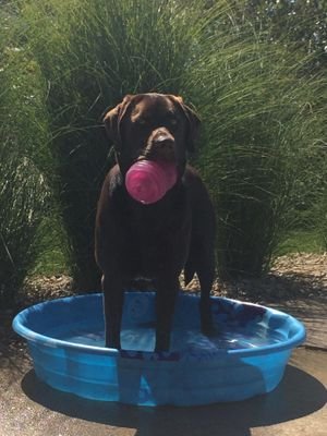 JFrizz4real's profile picture. “If you ever drop your keys into a river of molten lava, let 'em go, because man, they're gone.”