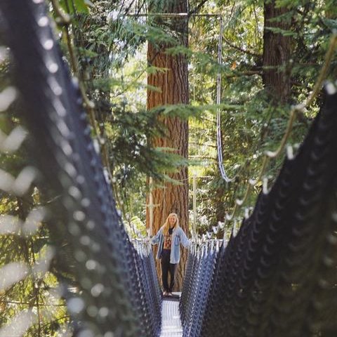 Vancouver's unique aerial adventure – aerial trail system that offers a perspective of the forest canopy eco-system and our conservation efforts 🌲