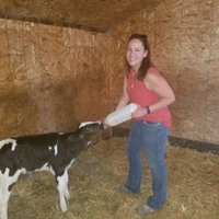 Crystal Hepp (@crystalhepp) 's Twitter Profile
