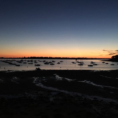 pyorg's profile picture. 