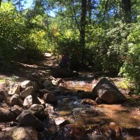 Michelle Connelly (@cuspforester) 's Twitter Profile