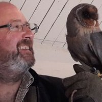 Mark Dobinson (@markdobinson1) 's Twitter Profile