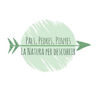 Descobrir la natura amb les criatures Reconnecting childrens with mediterranean nature  IG:@palspedrespinyes #forestschool #playnature #playoutdoor