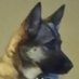 Peter (@freddiebigbig) Twitter profile photo Peter (@freddiebigbig) Twitter profile photo