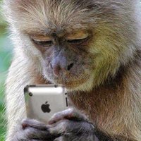 Techno Man (@russcurtis) 's Twitter Profile Photo