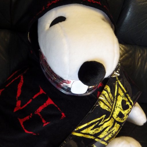 sarkerwrr's profile picture. We are BABYMETAL