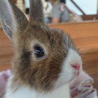 佐々木　隆史 (@sylen82) 's Twitter Profile Photo