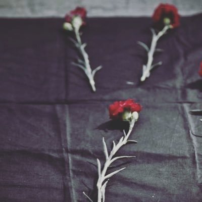 teom05_teom051's profile picture. أقرب الأشياء لنا ليست تلك الجميلة.. أو المدهشة.. أو التي تشبهنا.. بل هي تلك التي يميل إليها القلب بلا سبب.