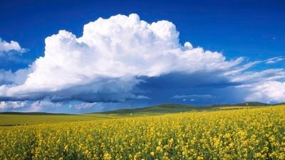 germani27's profile picture. patm歴10年です。資格の勉強で過度のストレスを感じていた時期に発症。現在求職中。同じ症状でお悩みの方、情報交換しましょう。趣味→海外サッカー観戦