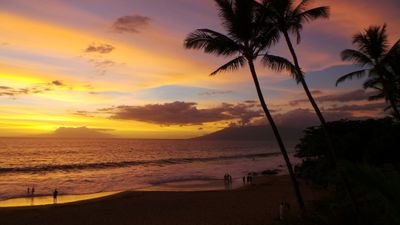 TonyTalbo's profile picture. American patriot. #Trump.