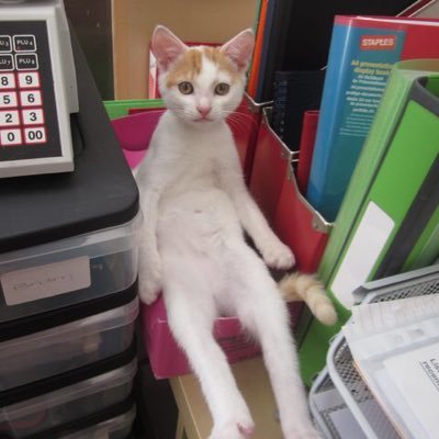 今井康之 Smmtanza7 Twitter