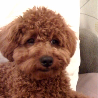 kris7878's profile picture. 