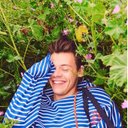 Hayley Stevenson - @HarleyStrange - Twitter